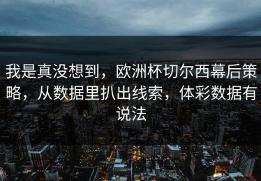 我是真没想到，欧洲杯切尔西幕后策略，从数据里扒出线索，体彩数据有说法