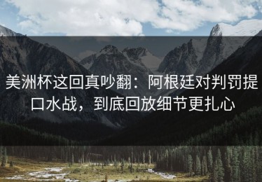 美洲杯这回真吵翻：阿根廷对判罚提口水战，到底回放细节更扎心