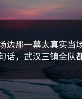 足协杯场边那一幕太真实当场：约基奇一句话，武汉三镇全队都沉默