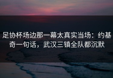足协杯场边那一幕太真实当场：约基奇一句话，武汉三镇全队都沉默