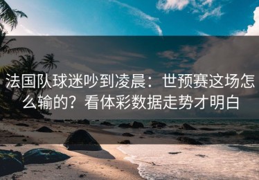 法国队球迷吵到凌晨：世预赛这场怎么输的？看体彩数据走势才明白