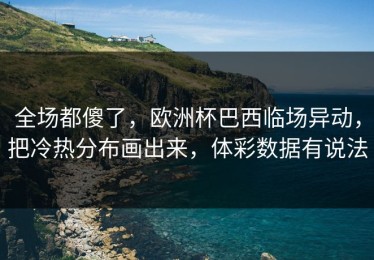 全场都傻了，欧洲杯巴西临场异动，把冷热分布画出来，体彩数据有说法