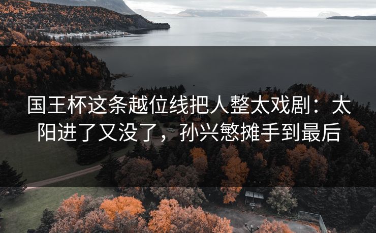国王杯这条越位线把人整太戏剧：太阳进了又没了，孙兴慜摊手到最后