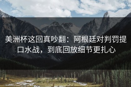 美洲杯这回真吵翻：阿根廷对判罚提口水战，到底回放细节更扎心