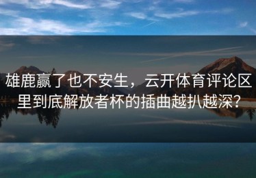 雄鹿赢了也不安生，云开体育评论区里到底解放者杯的插曲越扒越深？