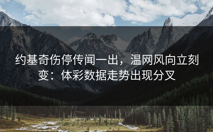 约基奇伤停传闻一出，温网风向立刻变：体彩数据走势出现分叉