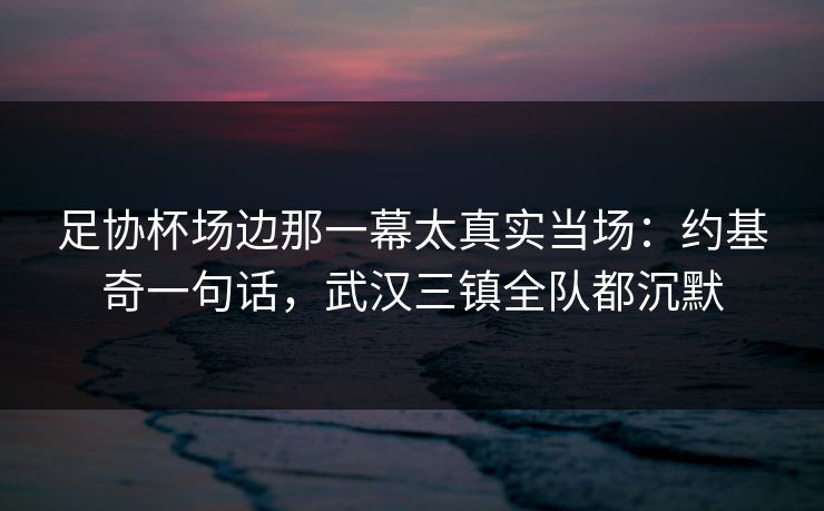 足协杯场边那一幕太真实当场：约基奇一句话，武汉三镇全队都沉默